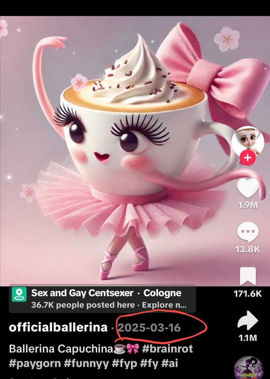 Original TikTok post by @officialballerina